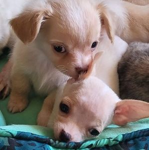 Meet your Posher, Kay